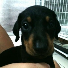 Poourney parameswaran