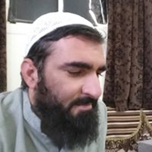 Habib Habibi’s avatar