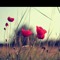 Fatima_Awada