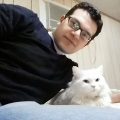 Ahmed Abdelhalim