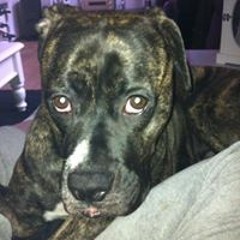 Yvonne Steinberg-Rijsdijk