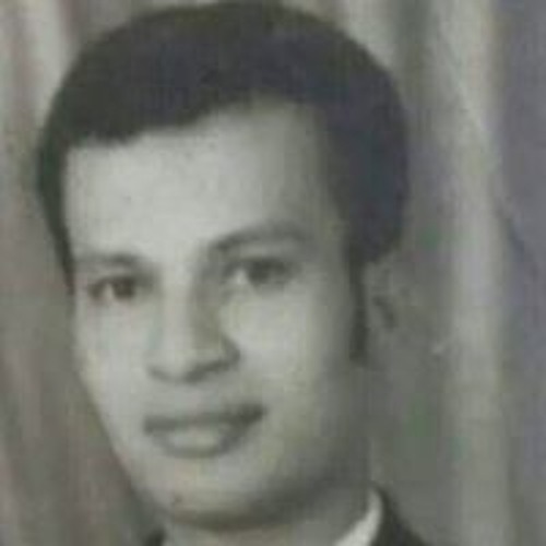 Mohamed Kamal’s avatar
