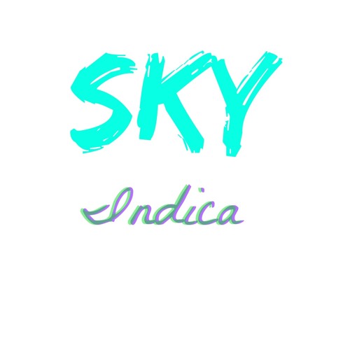 SkyIndica’s avatar