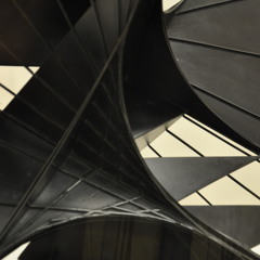 MORPHOSE