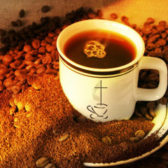 Moss & O'Neil Musicals