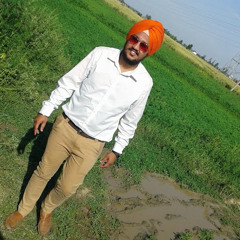 Raman virdi