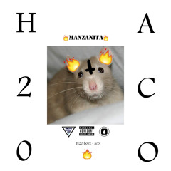 H20 ACO