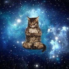 Space Cat