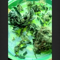 Chloe Danielle Marsh