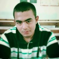 Alaa M Taher