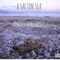 Anjas Apriadizc