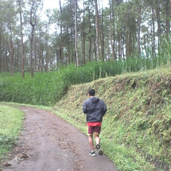 Akhmanda Purnomo