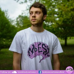 Noesys