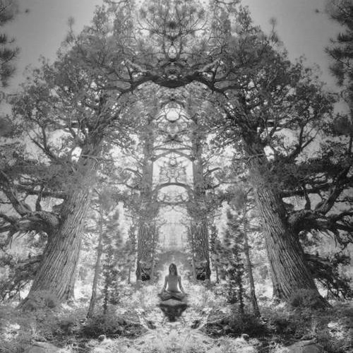 Invisible Landscapes by Entheogenic