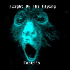 FlightOfTheFlyingTosti's
