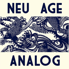 Neu Age Analog