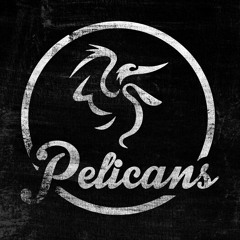 Pelicans