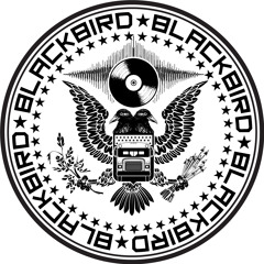 The Blackbird Bus
