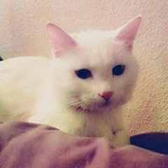 Jeeranan Tasanon Tucker