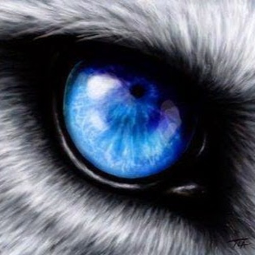 Sakura Anata Ni Deaete Yokatta Piano