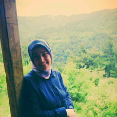 alperen abiç