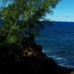 Stéphane Primatesta