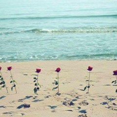 Nada_Elshlqami