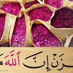 Mody Hamed