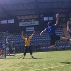 Guilherme Koike Folgueira