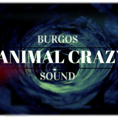 Animal Crazy