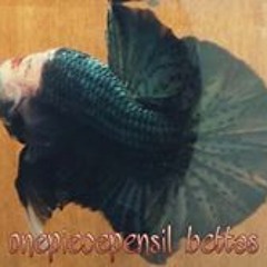 Bettas Onepiecepensil