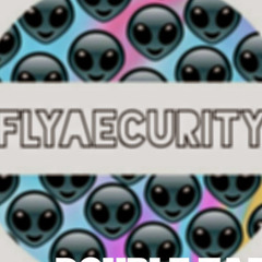 FLY AECURITY