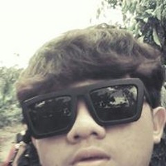 baocellos