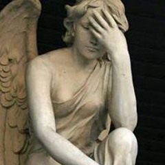 Captainmason Montana