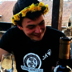 Radim Štrůčka
