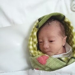 minh lee