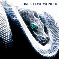 One second wonder