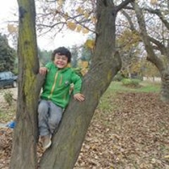 Luis Ignacio Zamorano