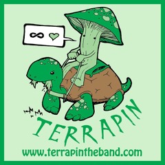 Terrapin The Band