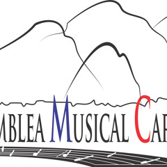 asambleamusicalcaracas