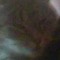 Grava1