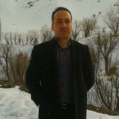 Ali Hamzehzadeh