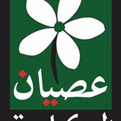Moayad Al Said Ali