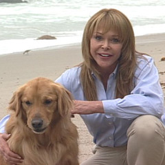 The Tonic - With Dr. Carol on Pets and Summer