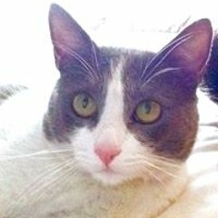 Juan Carlos Ortiz Cruz