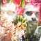 MEMU MUSIC