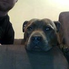 Josh Hutcho Hutchinson