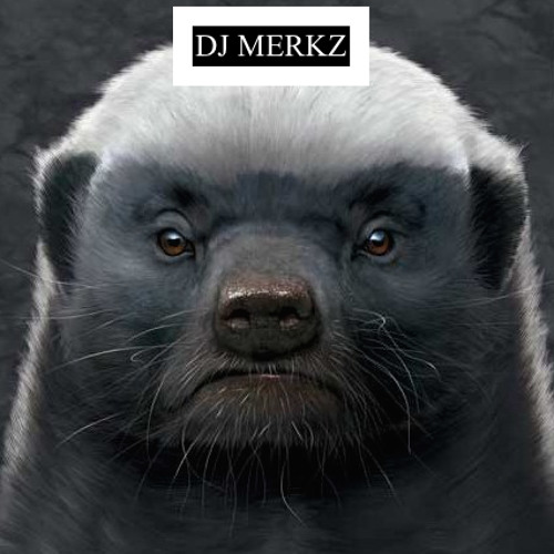 DJ.MERKZ’s avatar