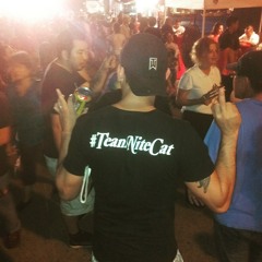 TJ THE NITE CAT of s.a.