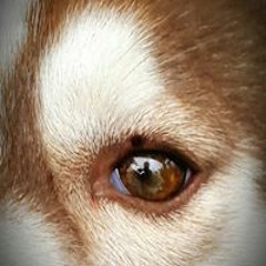 NestyGrace Del Rosario